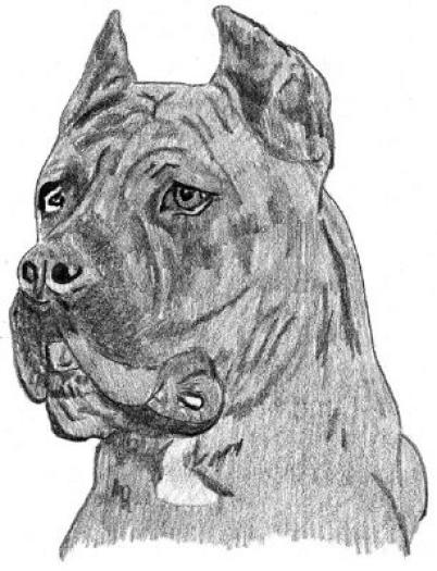 Presa Canario2