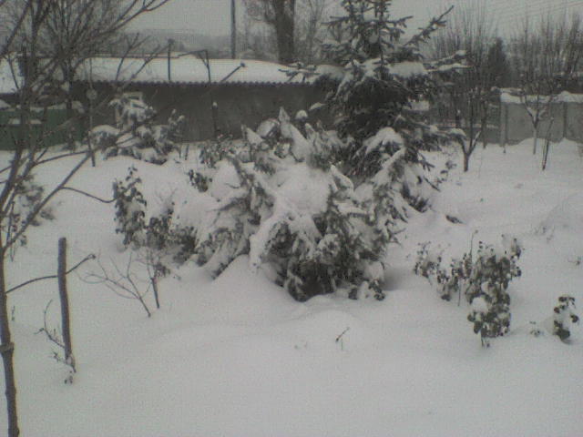 DSC01252 - iarna in sat