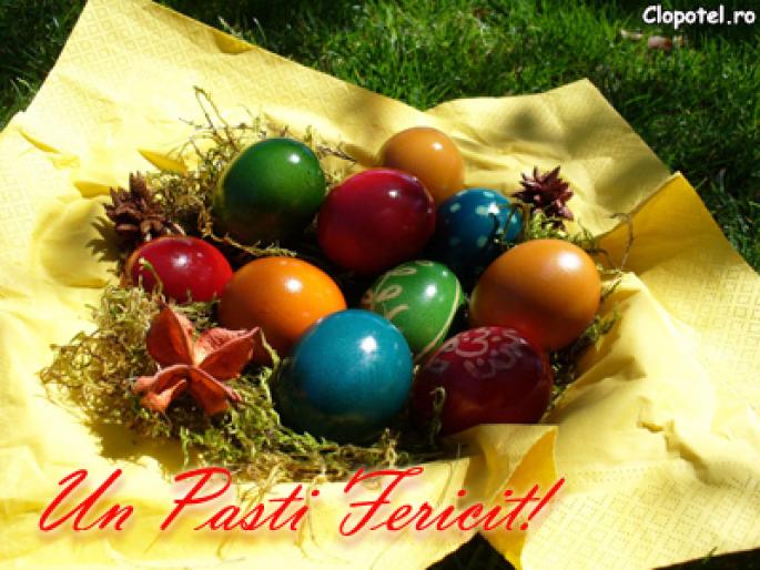 paste fericit