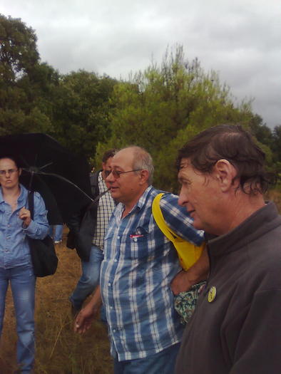 Imagine1388 - ApiMondia