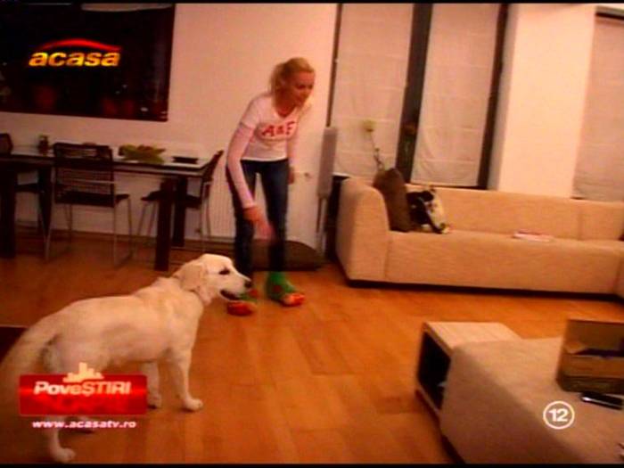 image01222209acasa4wi2