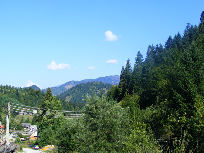 DSCF6283 - muntii Rodnei