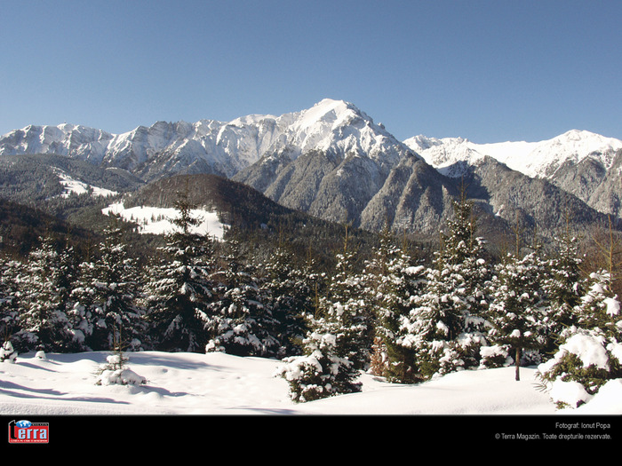 Vf_Bucsoiu_Bucegi - Peisaje Terra