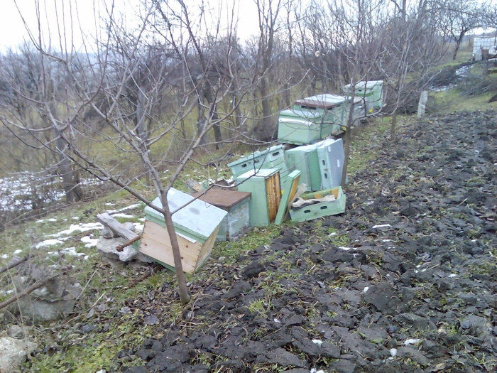 accident 1; au stat asa 2 saptamani ,a nins peste ei

