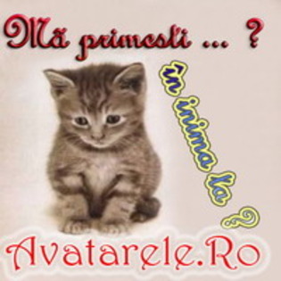 www_avatarele_ro__1197159278_602930 - Avatare