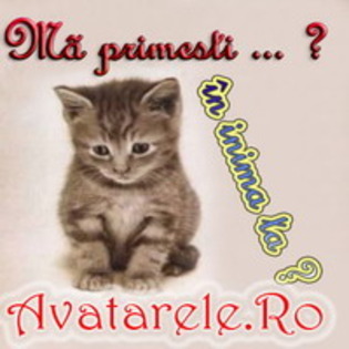 www_avatarele_ro__1197159278_602930