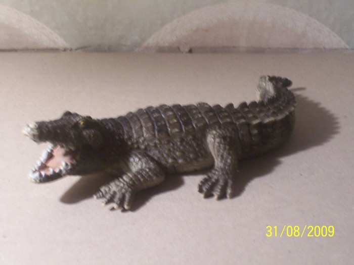 crocodil - animale SCHLEICH