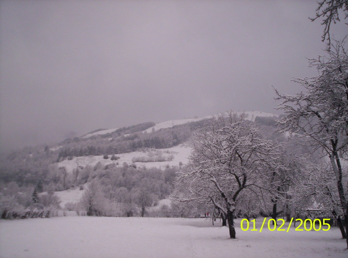 e iarna aici - spre Valea Jiului