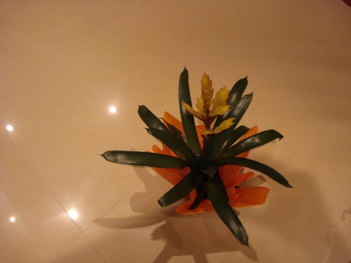 Din partea Cristinei!!