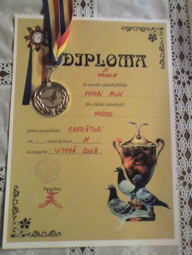 Loc 11  VITEZA crescatori 2008 club Muscel ( loc 267 UCPR) - Diplome si medalii