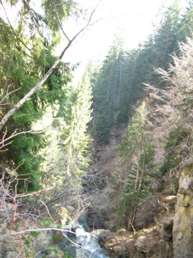 picn03 - Cheile_Mariei 2007