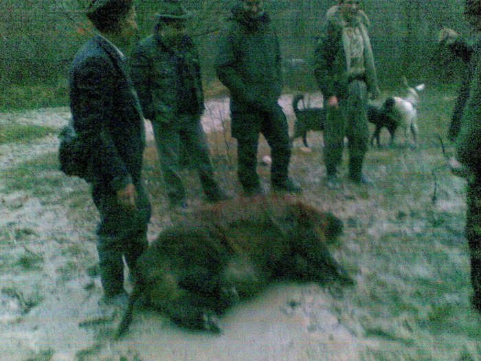 09122009(039) - vanatoare padure