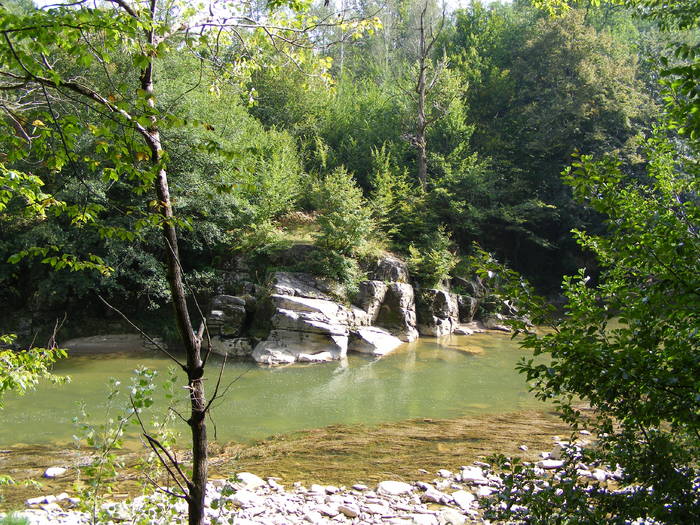 DSCF0401 - Cheile Lapusului- Biserica V- Cetatea Chioar