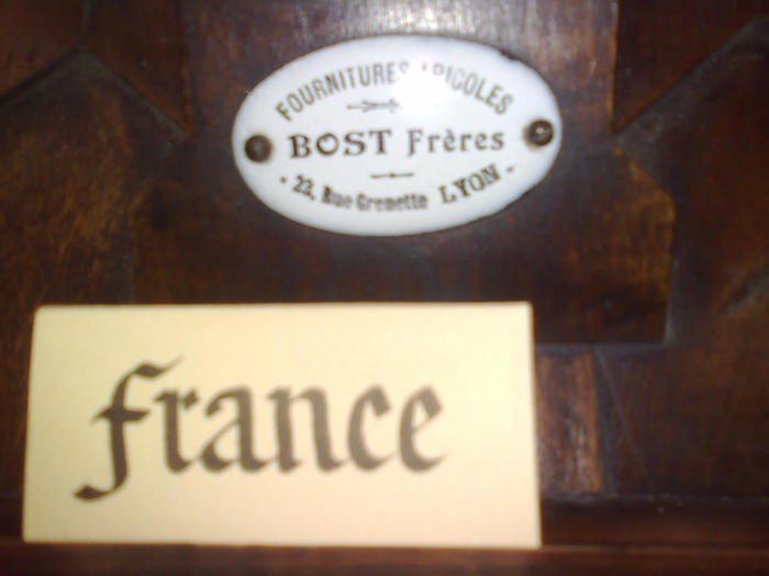 Imagine1138 - ApiMondia