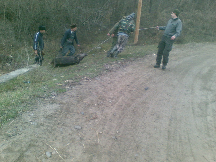 09122009 - vanatoare padure