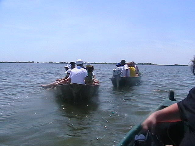 IMGA0959 - In Delta Dunarii- Mila 23-iunie 2009