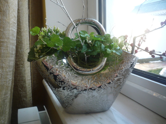 P1020396 - dragele mele flori 2009