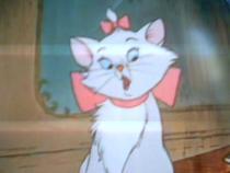 LIXMEYQPPDHRFOCXZCA - aristocats