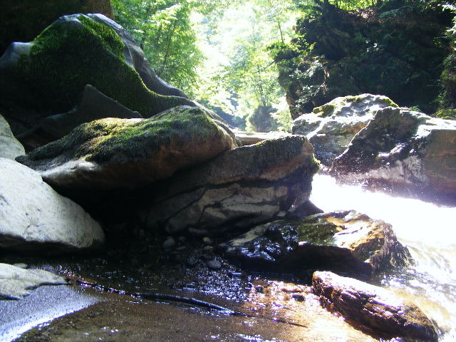 DSCF5245