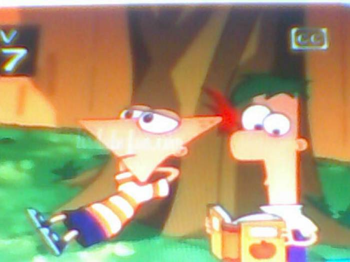 snapshot-163 - Pineas si Ferb