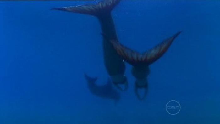 JZMURZDVIYCUVGIWUHJ - Imagini h2o