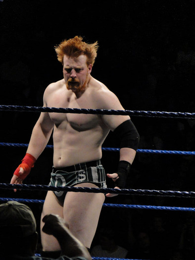 Sheamus - SHEAMUS HATER