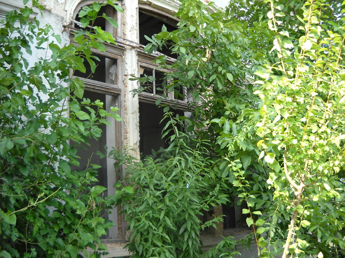 Picture 122; 4mb jpeg 1/7/2009 6:29am
