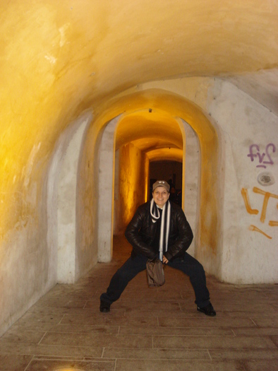 DSC06323 - 2010 REVELION SIBIU