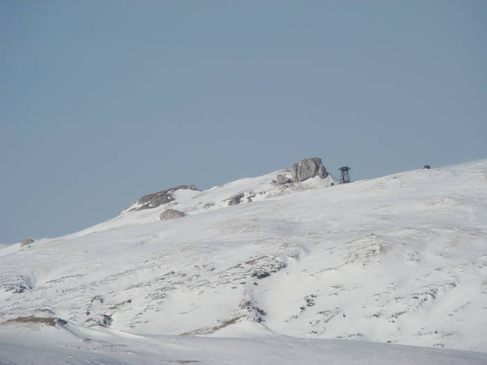DSC01169 - Bucegi - Valea Izvorul Dorului-Padina