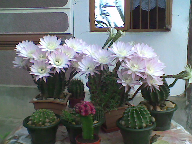Imag038