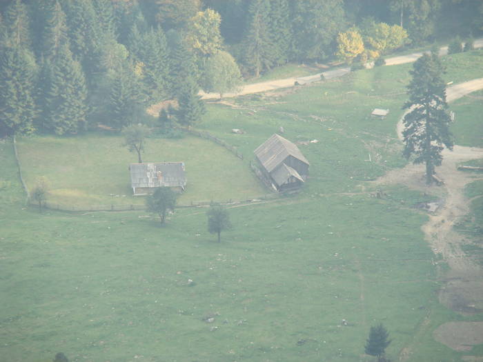 DSC00366