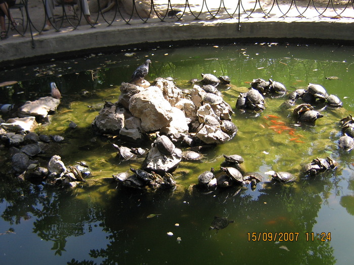 IMG_0430 - 2007 - atena - continuare