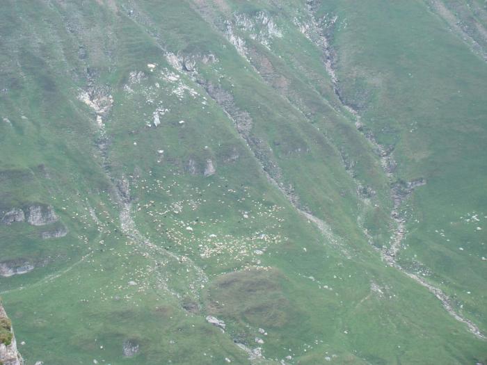 DSC01917 - Concediu 2008