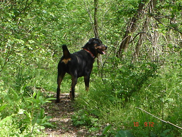 DSC04853 - BELLA poze noi