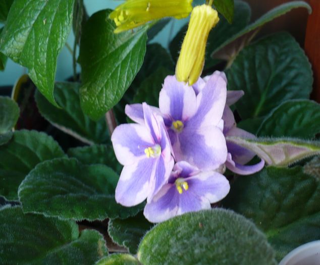 P1160054