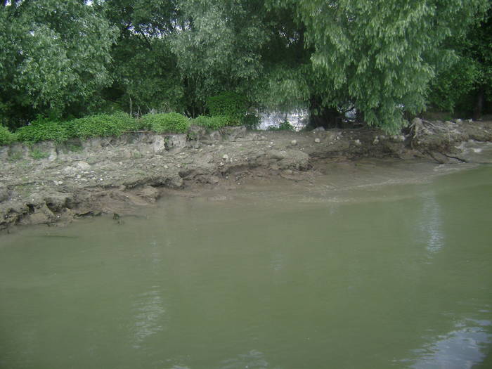 excursie delta dunarii 5062009 116 - EXCURSIE  in DELTA