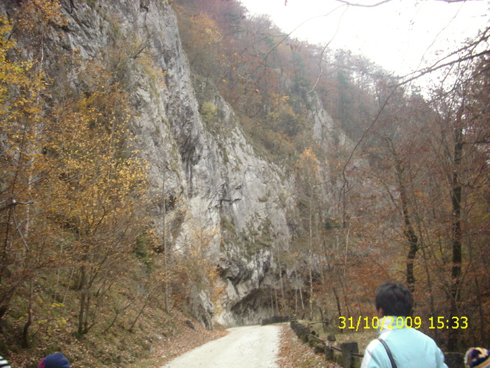 Cheile Oltetului - Excursie in judetul GORJ