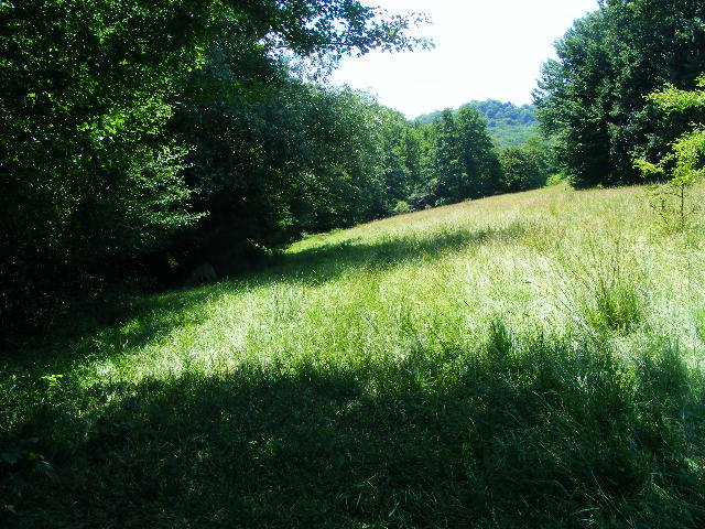 DSCF2641