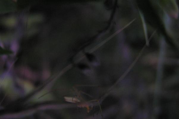 P7140093