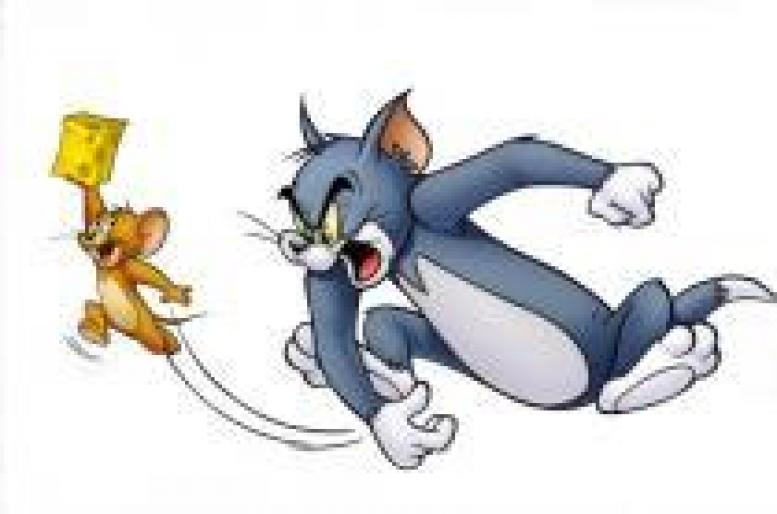 RNZSETVKJCWCJXIDBHJ - poze Tom si Jerry