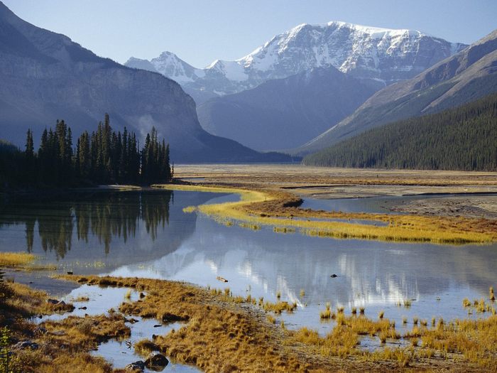 Mount Kitchener and Sunwapta River, Jasper National Park, Alberta - Wallpapers Premium