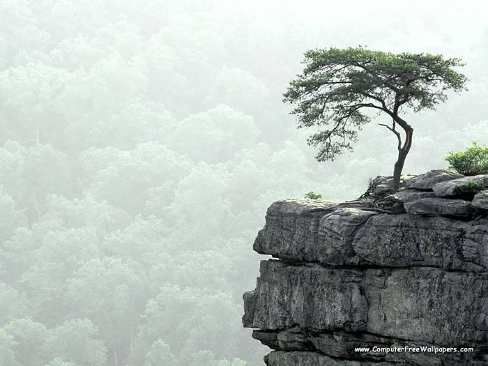Wallpapers - Nature 10 - Buzzards'_Roost,_Fall_Creek_Falls_State_Park,_Tennessee