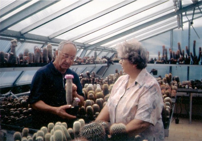 Fam. Wolf - Colectionari