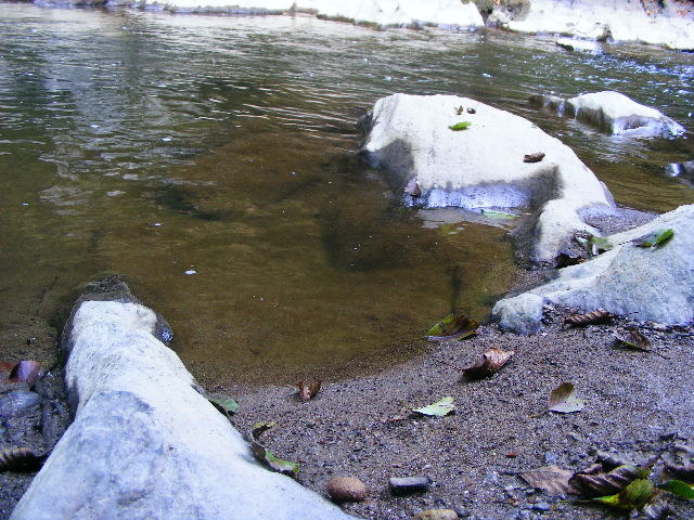 DSCF5153