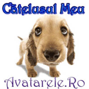 1 - cateva poze cu animale