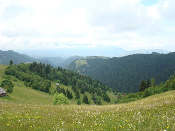 DSC03905 - Concediu 2009