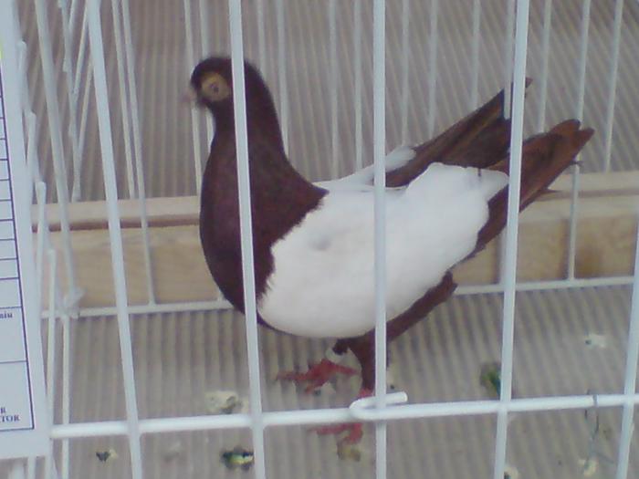 DSC00850