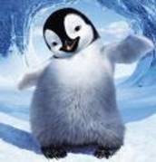 happy feet (18) - happy feet