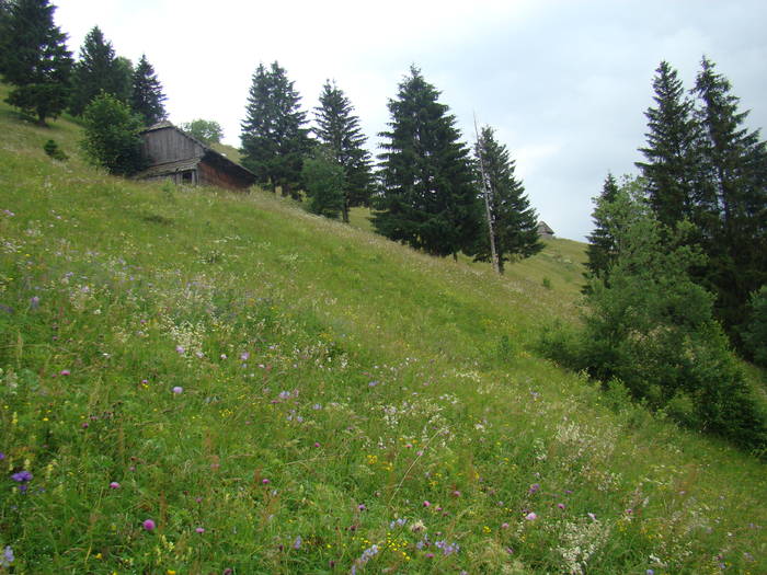 DSC03922 - Concediu 2009