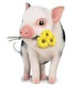 Copy of fuck_U_bitch